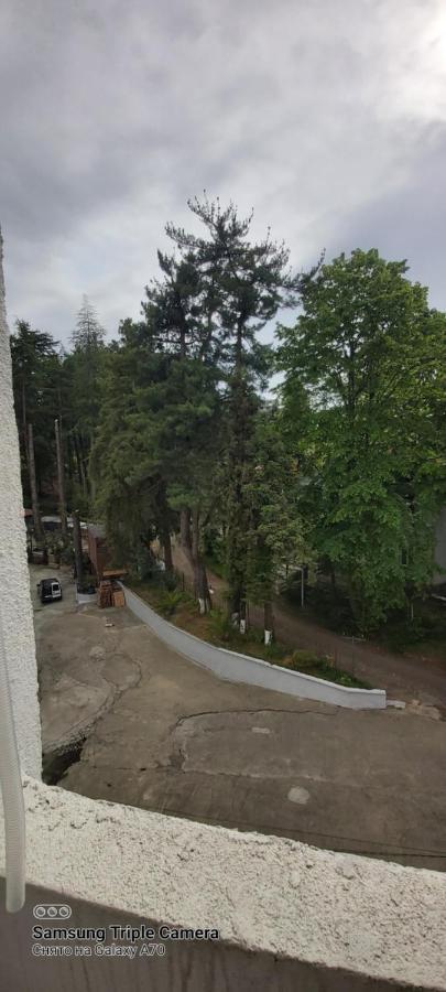 Студия Радуга У Моря Колхида Batumi Zewnętrze zdjęcie